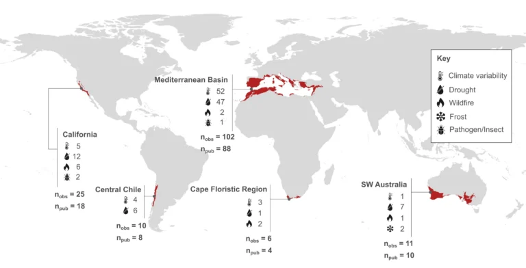 ecosistemi di tipo mediterraneo