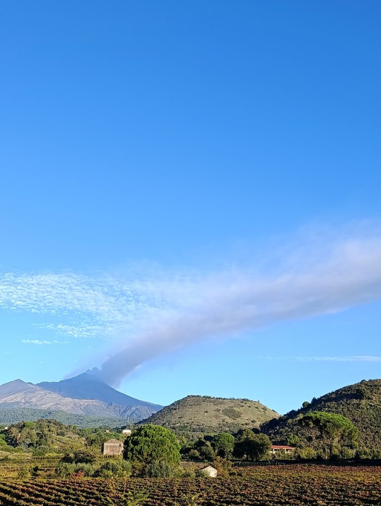 etna cenere