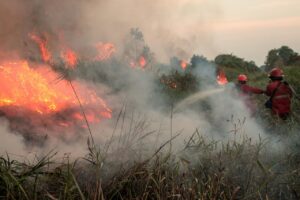 incendi indonesia