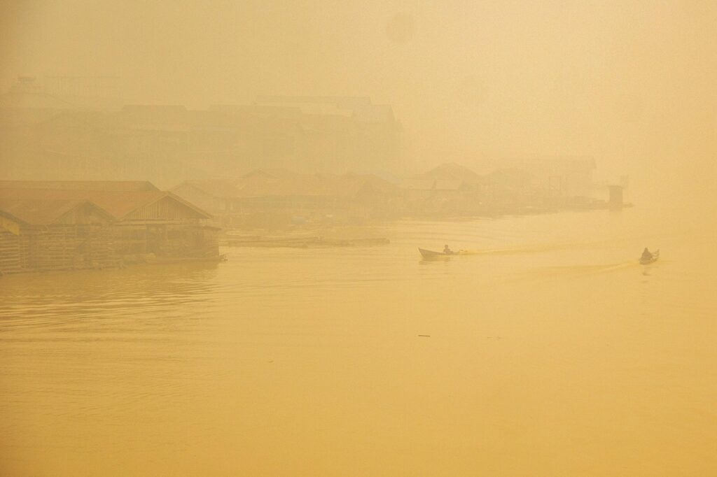 incendi indonesia