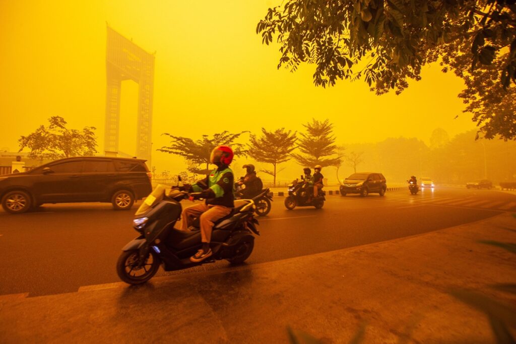 incendi indonesia