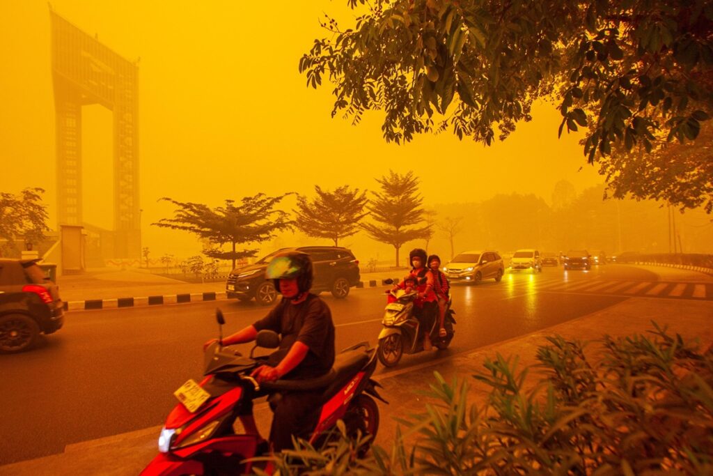 incendi indonesia
