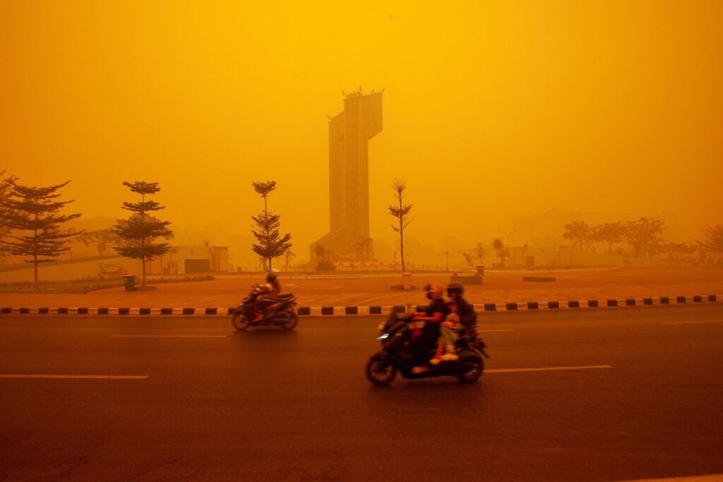 incendi indonesia