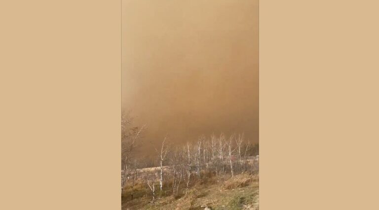 incendio alberta