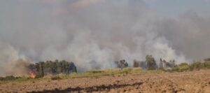 incendio morimenta sardegna