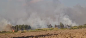 incendio morimenta sardegna