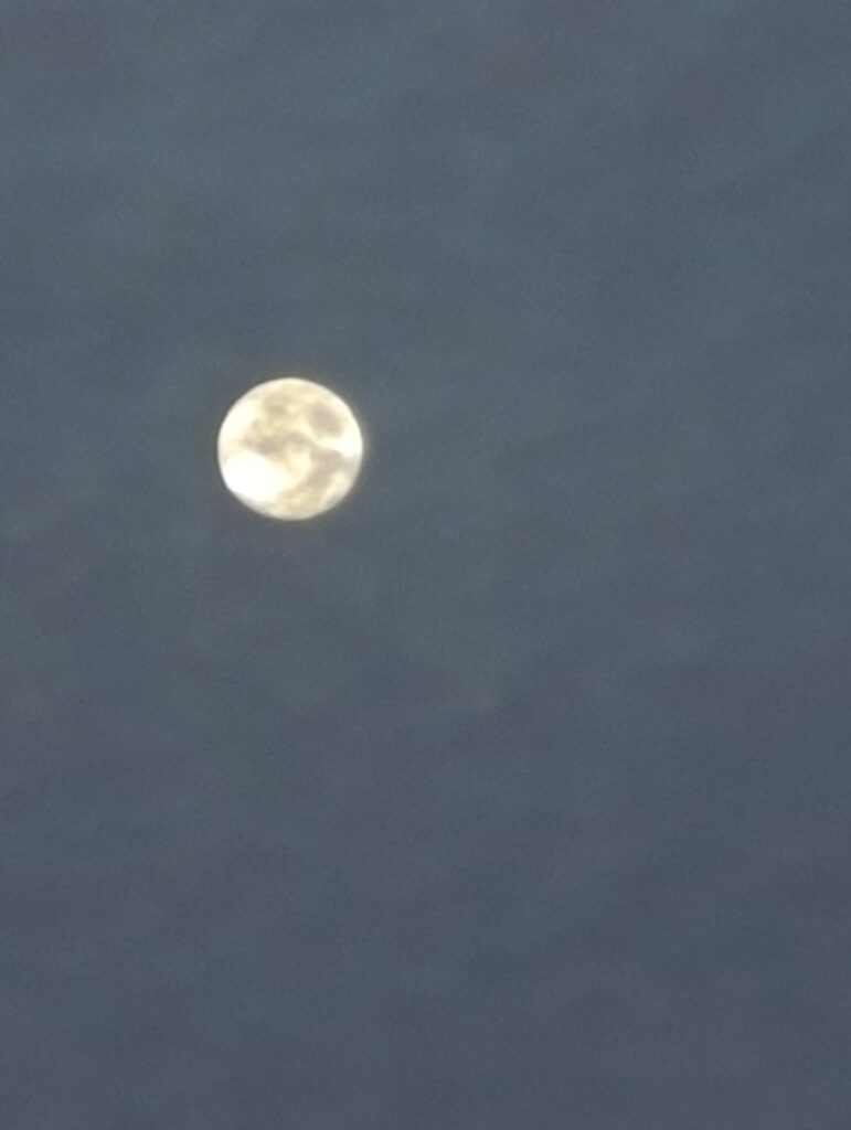 luna cacciatore