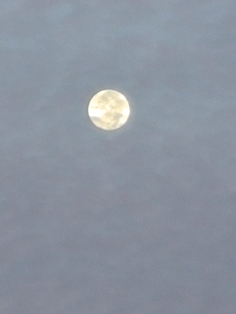 luna cacciatore