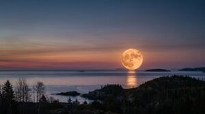 luna piena cacciatore