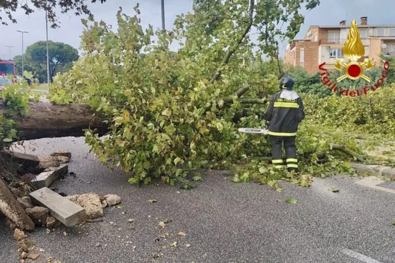 maltempo albero vigili fuoco