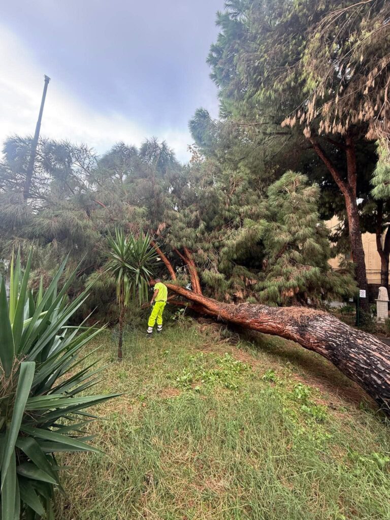 maltempo reggio calabria