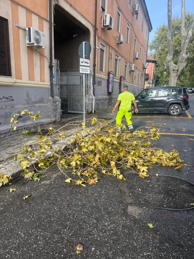 maltempo reggio calabria