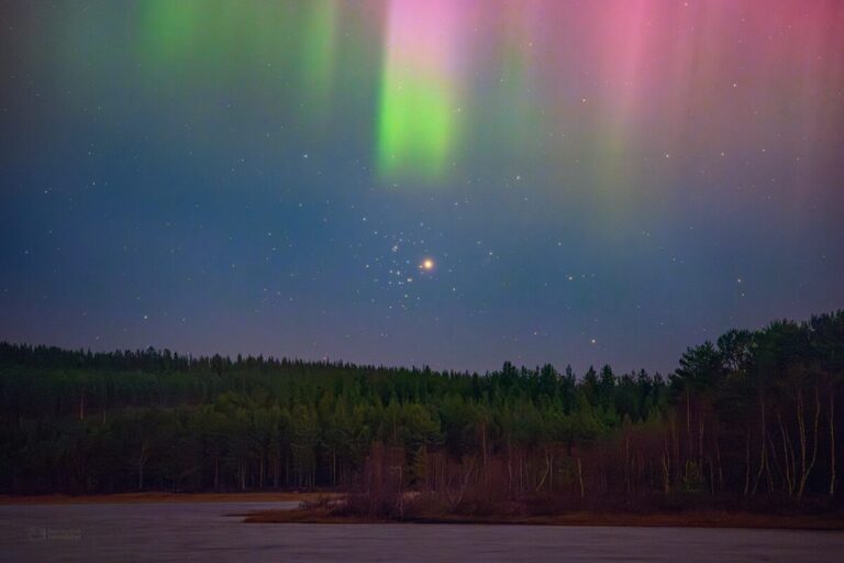marte aurora