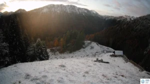neve fvg