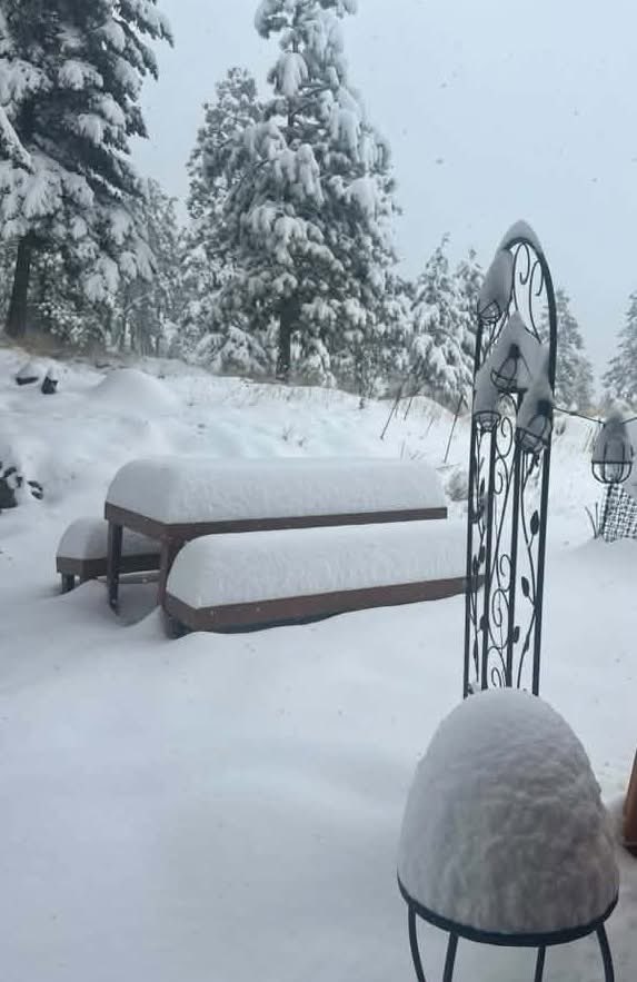 neve montana usa
