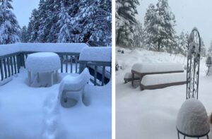 neve montana usa