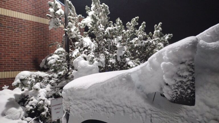 neve montana usa