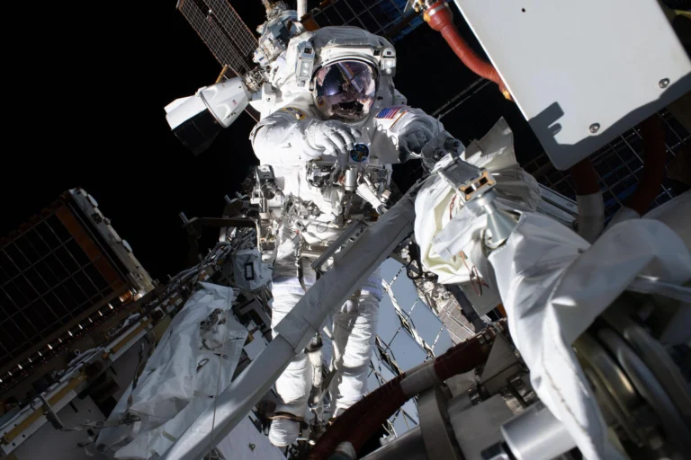 passeggiata spaziale anil menon