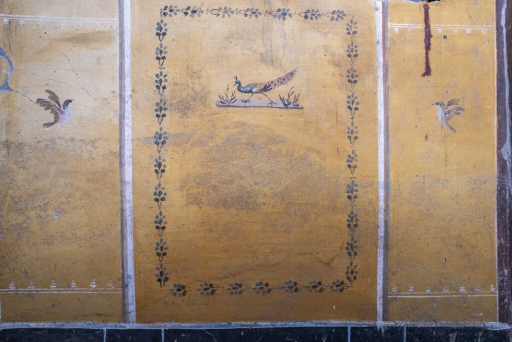 scoperta armadio donna pompei