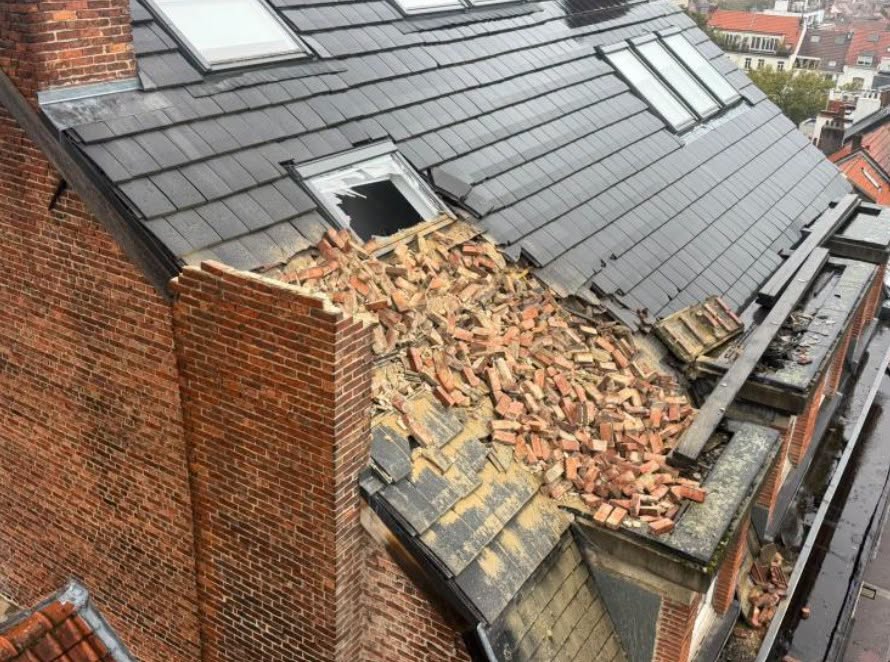 tempesta austen belgio