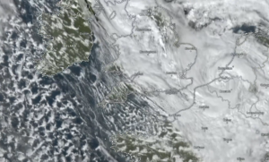 tempesta austen belgio